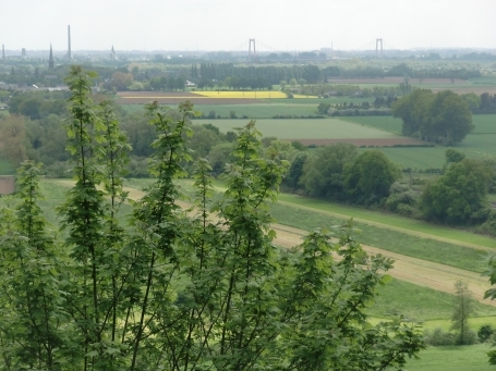 Emmerich-Hochelten : Auf dem Eltenberg, mit Ausblick in das Rheintal